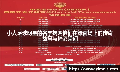 jn江南·体育登录入口